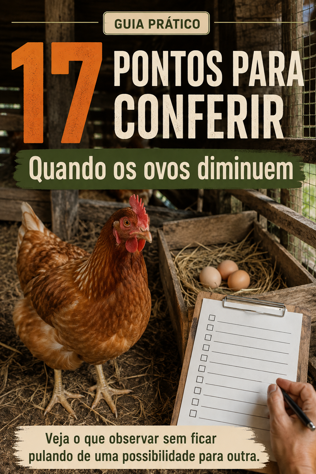 17 Pontos